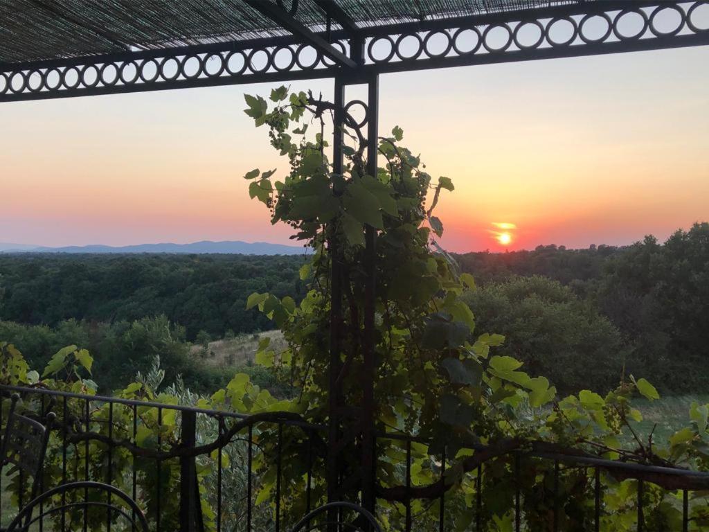 Agriturismo Cerrosughero Canino Dış mekan fotoğraf