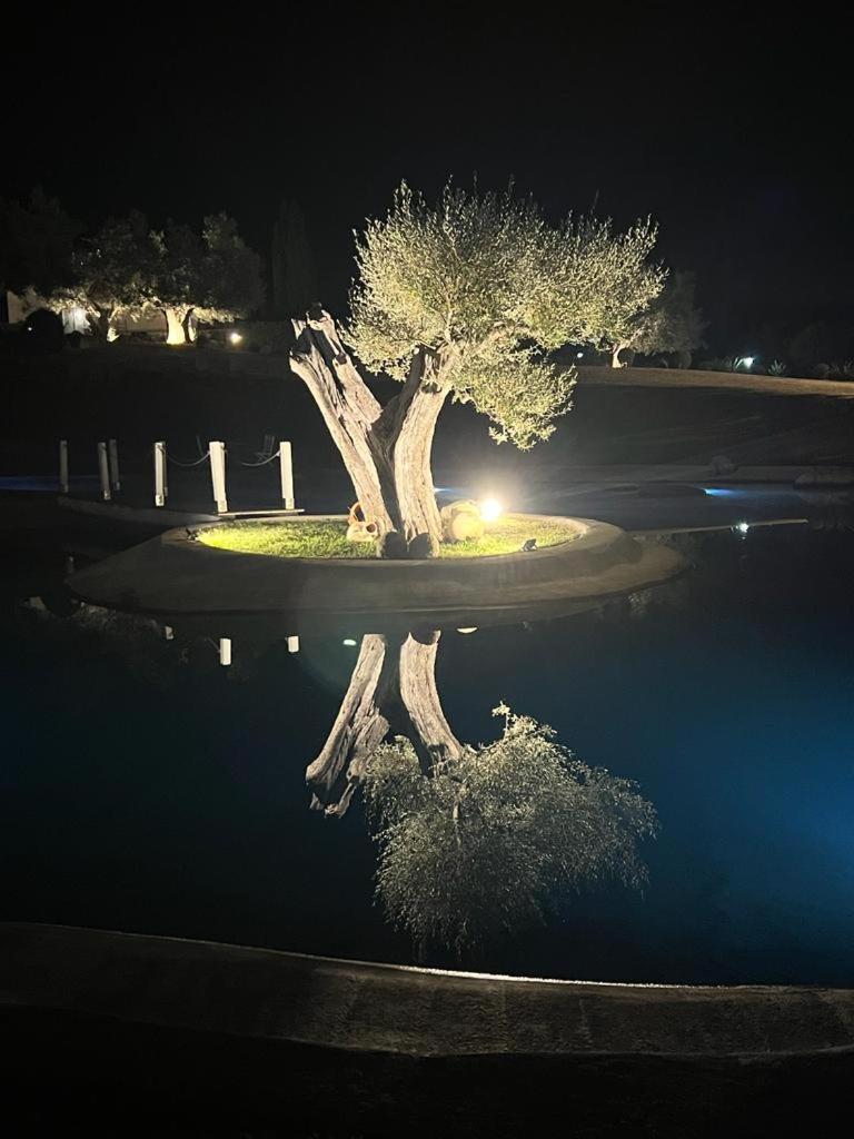 Agriturismo Cerrosughero Canino Dış mekan fotoğraf