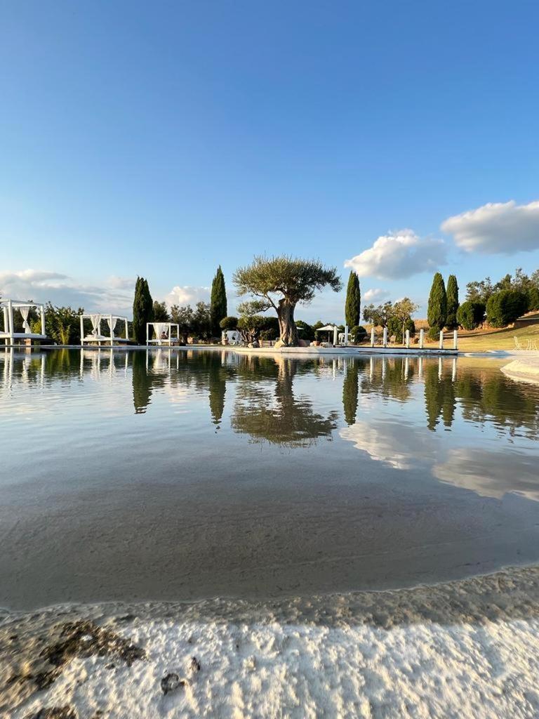Agriturismo Cerrosughero Canino Dış mekan fotoğraf