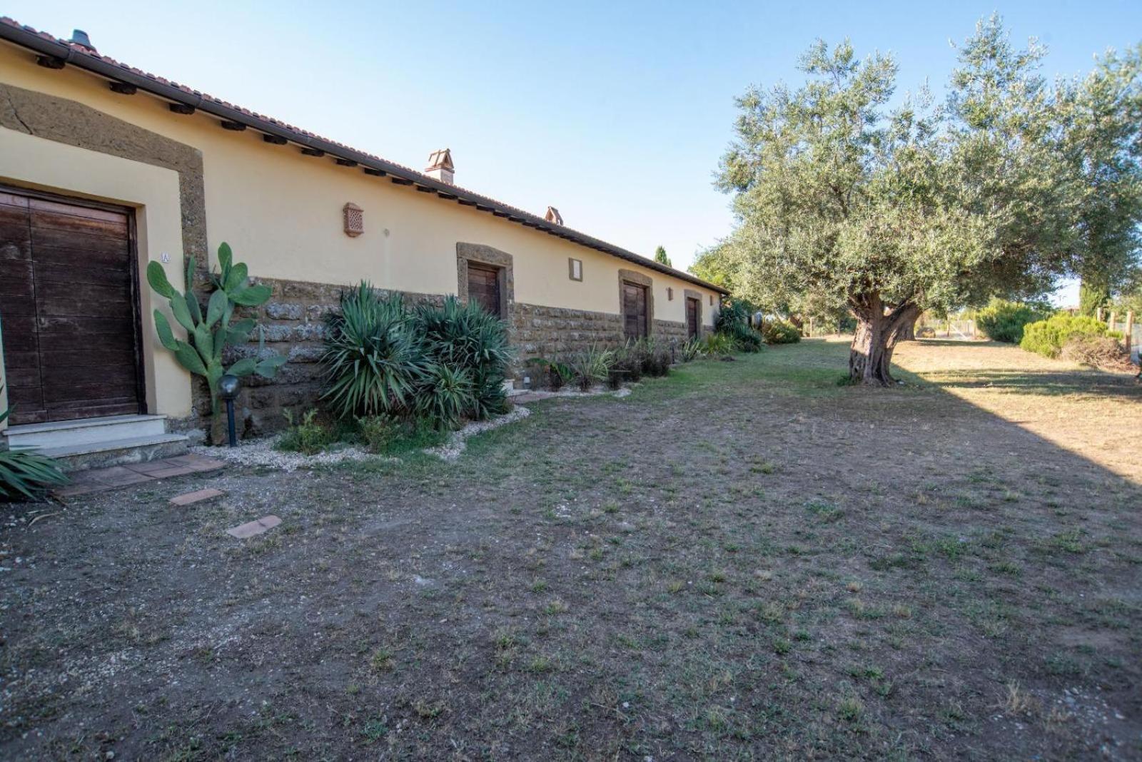 Agriturismo Cerrosughero Canino Dış mekan fotoğraf